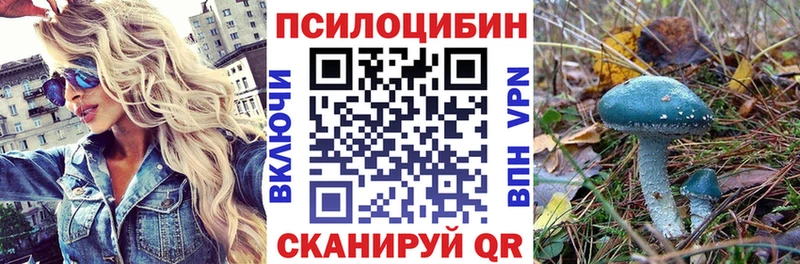 Купить закладки  Великий Новгород  Галлюциногенные грибы Cubensis 